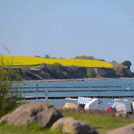 Godewind Whg Gw32 * 博尔滕哈根